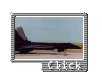 Click for Larger Image